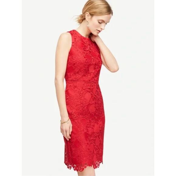 NWT Women's Ann Taylor Lace Sheath Dress in Bright Geranium sz 14 Romantic Glam - Picture 1 of 5